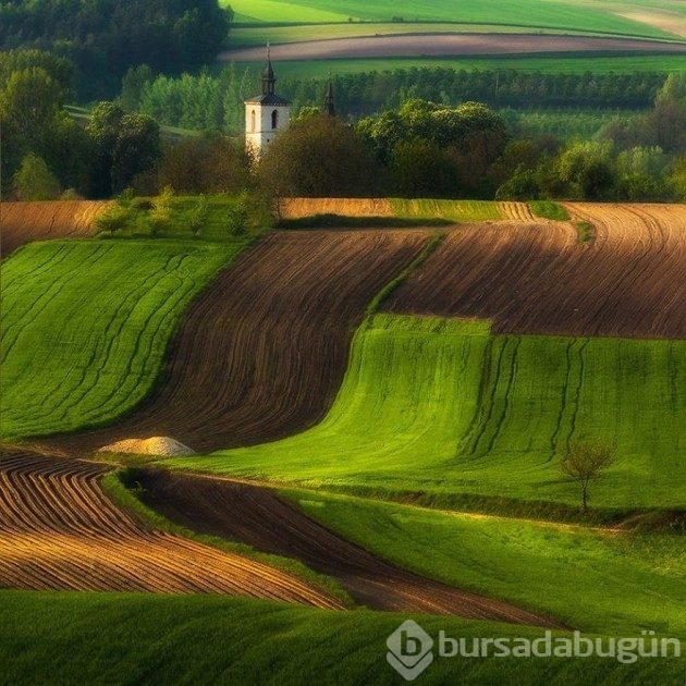 15 fotoğrafla &#8203;Polonya'nın muhteşem tarlaları
