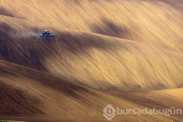 15 fotoğrafla &#8203;Polonya'nın muhteşem tarlaları