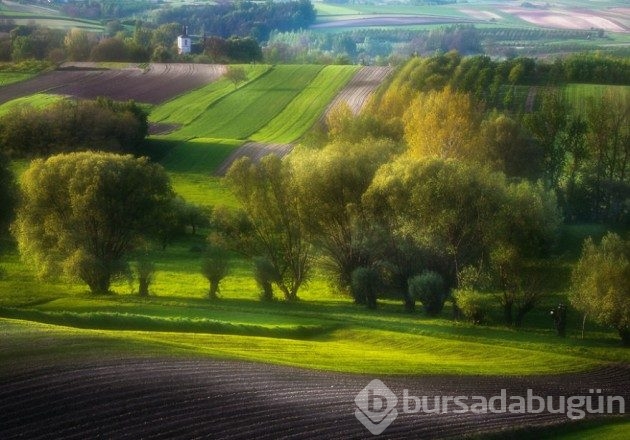 15 fotoğrafla &#8203;Polonya'nın muhteşem tarlaları