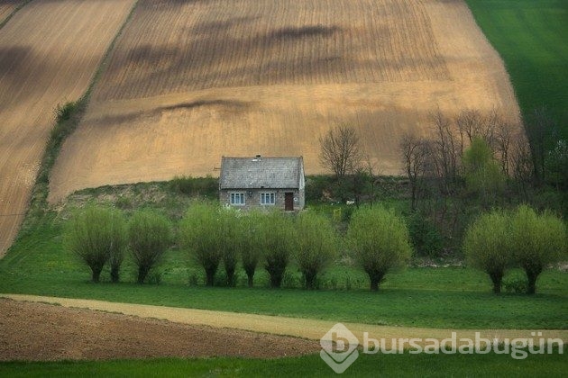 15 fotoğrafla &#8203;Polonya'nın muhteşem tarlaları