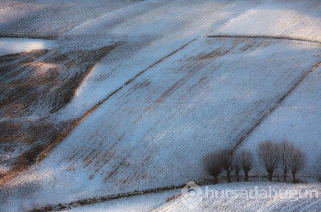 15 fotoğrafla &#8203;Polonya'nın muhteşem tarlaları