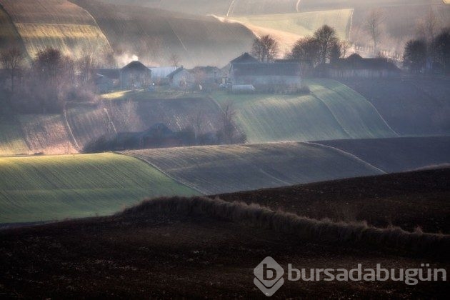 15 fotoğrafla &#8203;Polonya'nın muhteşem tarlaları