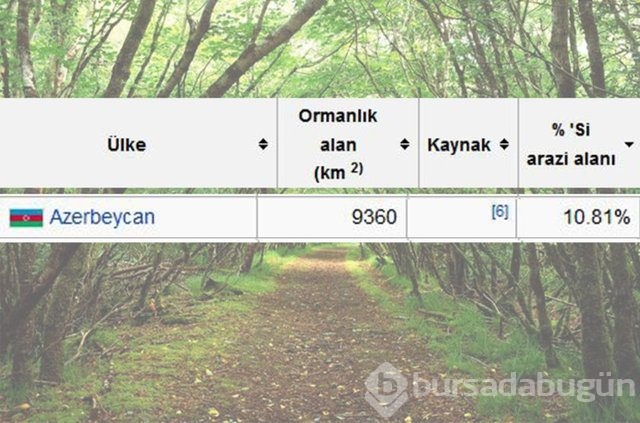 Dünyada en çok ağaç hangi ülkede!
