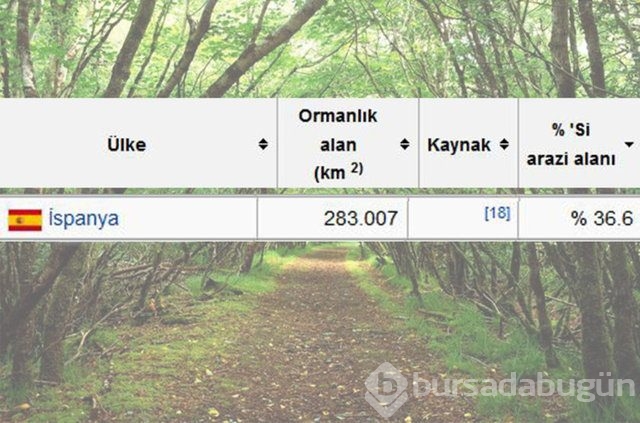 Dünyada en çok ağaç hangi ülkede!