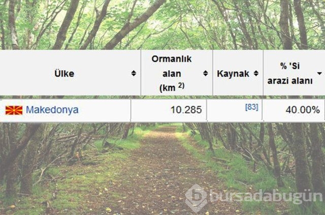 Dünyada en çok ağaç hangi ülkede!