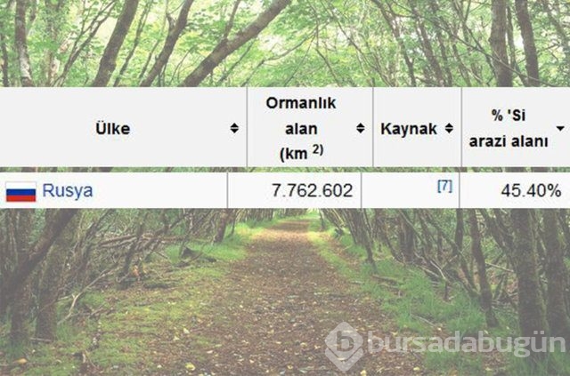 Dünyada en çok ağaç hangi ülkede!
