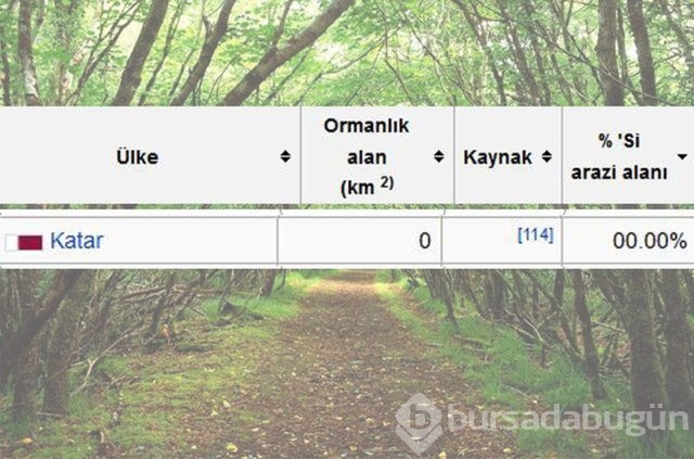 Dünyada en çok ağaç hangi ülkede!