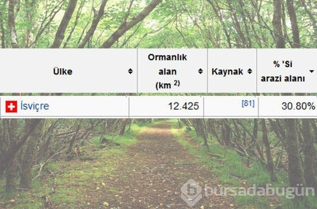 Dünyada en çok ağaç hangi ülkede!
