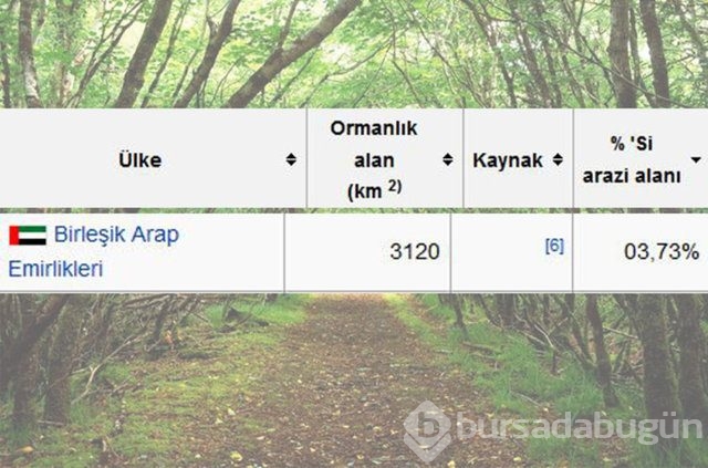 Dünyada en çok ağaç hangi ülkede!