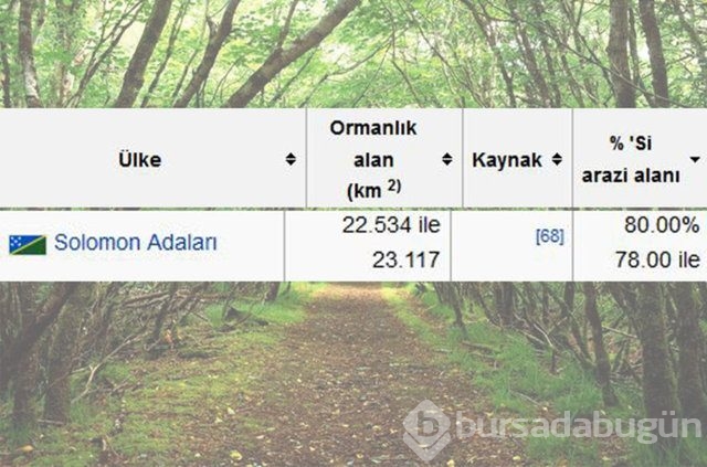 Dünyada en çok ağaç hangi ülkede!