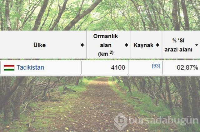 Dünyada en çok ağaç hangi ülkede!