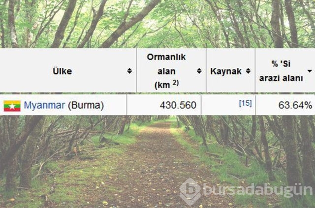 Dünyada en çok ağaç hangi ülkede!