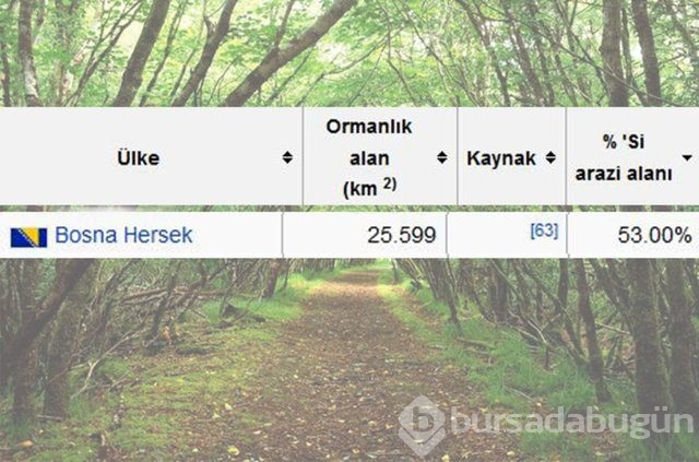 Dünyada en çok ağaç hangi ülkede!