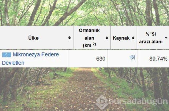 Dünyada en çok ağaç hangi ülkede!