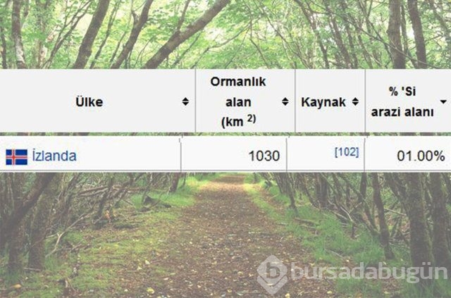Dünyada en çok ağaç hangi ülkede!