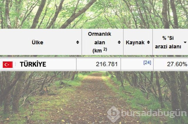 Dünyada en çok ağaç hangi ülkede!