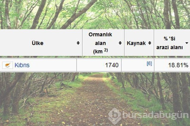 Dünyada en çok ağaç hangi ülkede!