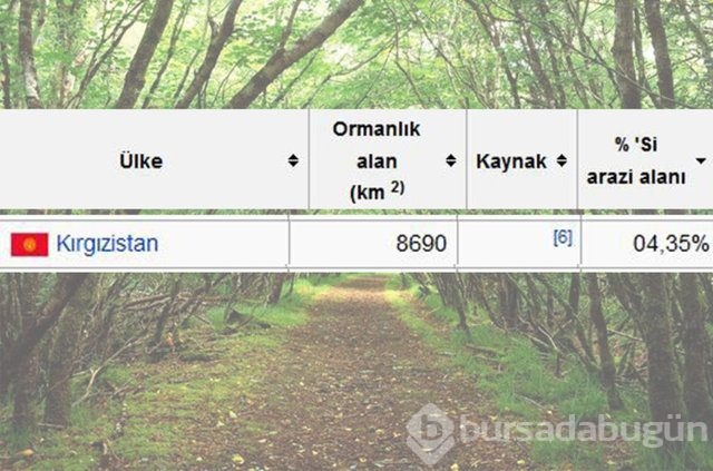 Dünyada en çok ağaç hangi ülkede!