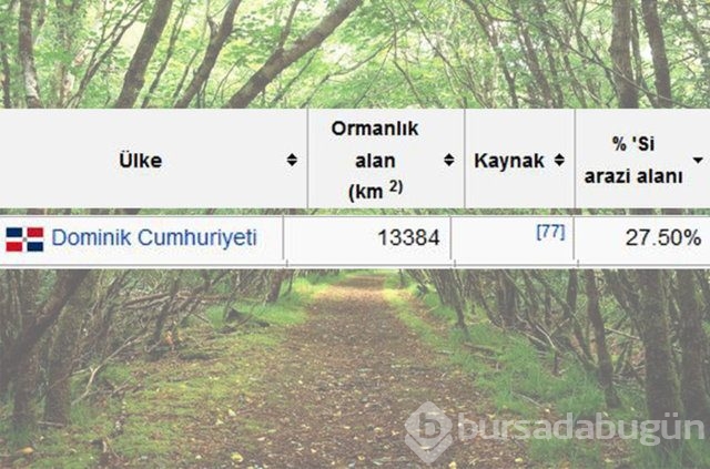 Dünyada en çok ağaç hangi ülkede!