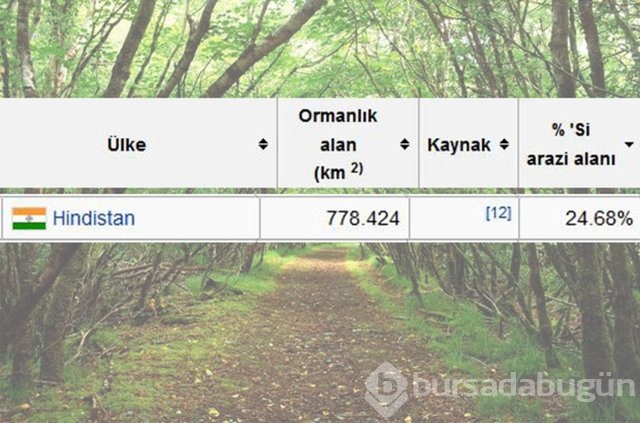 Dünyada en çok ağaç hangi ülkede!