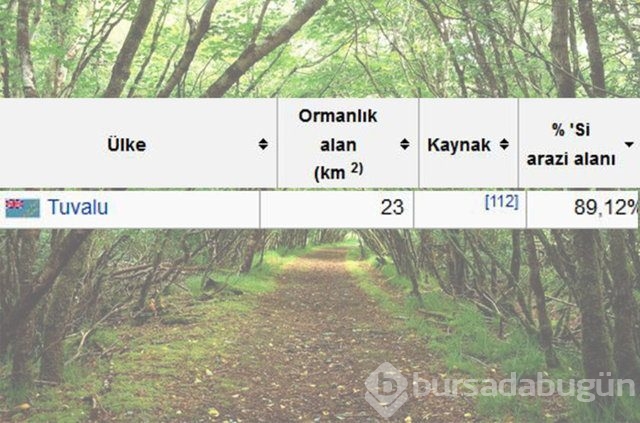 Dünyada en çok ağaç hangi ülkede!