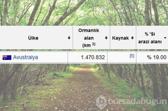 Dünyada en çok ağaç hangi ülkede!
