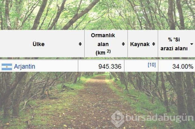 Dünyada en çok ağaç hangi ülkede!