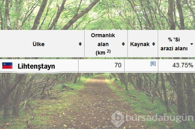 Dünyada en çok ağaç hangi ülkede!