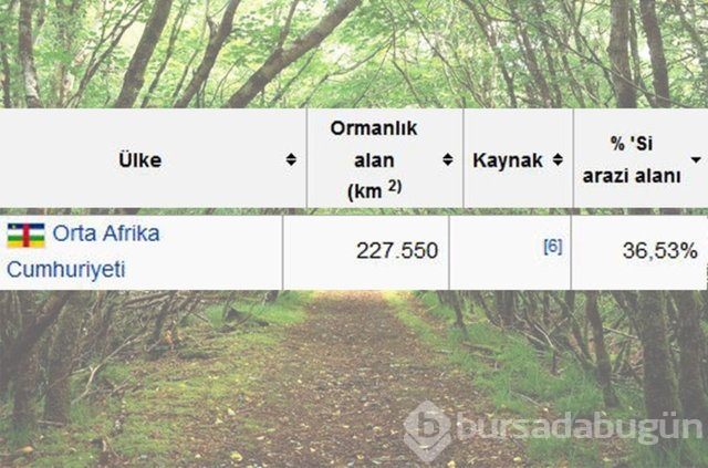 Dünyada en çok ağaç hangi ülkede!