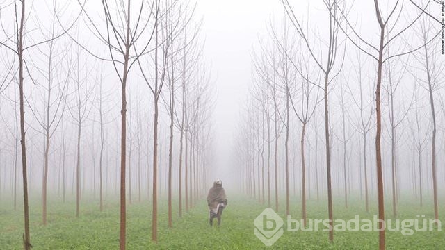 2016'nın en iyi seyahat fotoğrafları!	