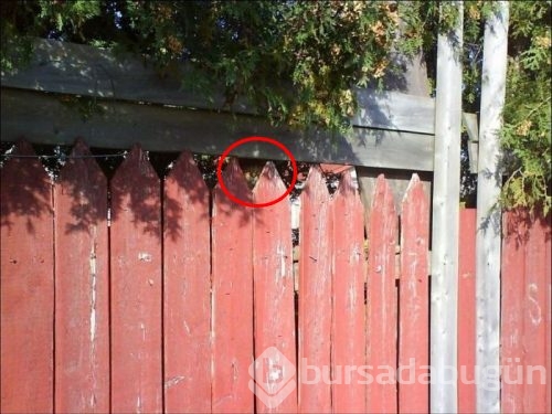 İlk bakışta bulabildiniz mi?