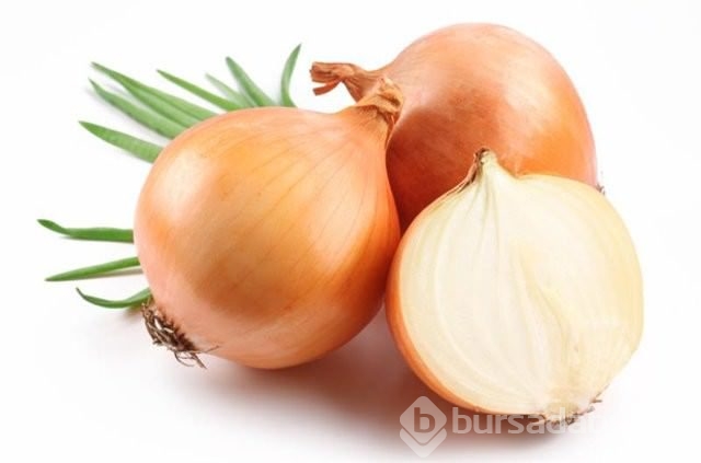 Hangi besin hangi organa benziyor?