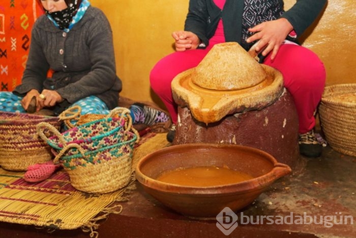 Argan yağının mucizevi faydaları