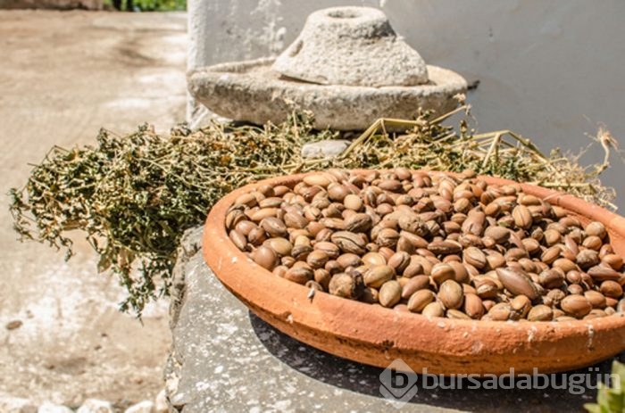 Argan yağının mucizevi faydaları