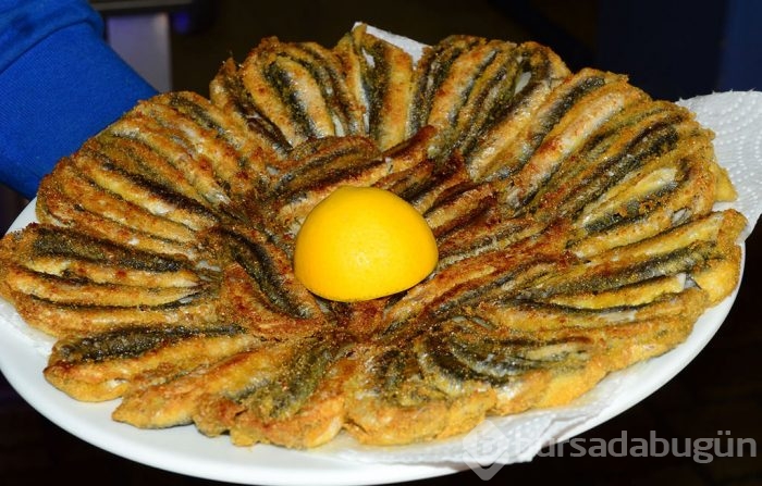 Hangi balık hangi ayda yenir?

