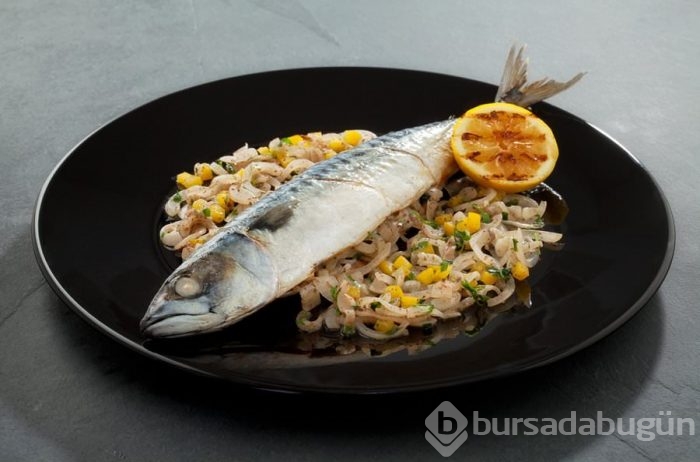 Hangi balık hangi ayda yenir?
