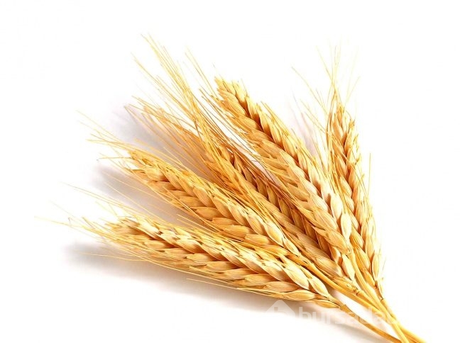 Tarhana çorbası ile ilgili önemli uyarı!