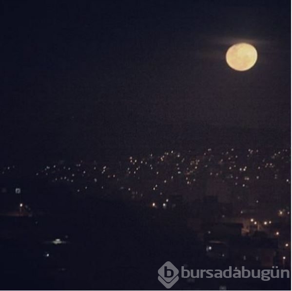 İnstagram'da Ünlüler - 24 Şubat 2016