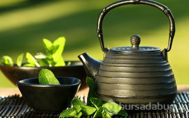 Güzellikte yeni trend çay ağacı yağı