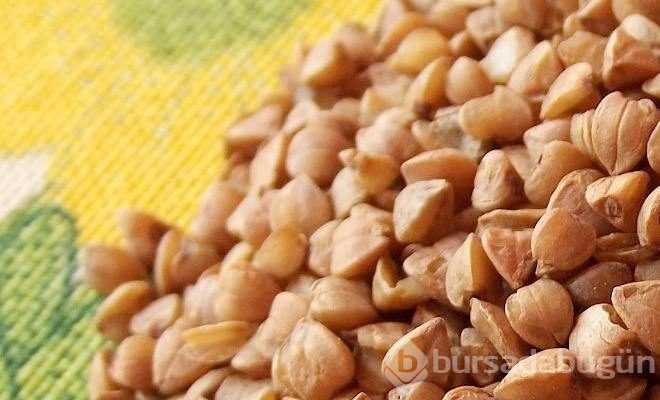 Nedir bu kinoa?