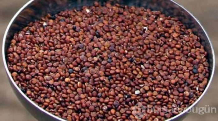 Nedir bu kinoa?