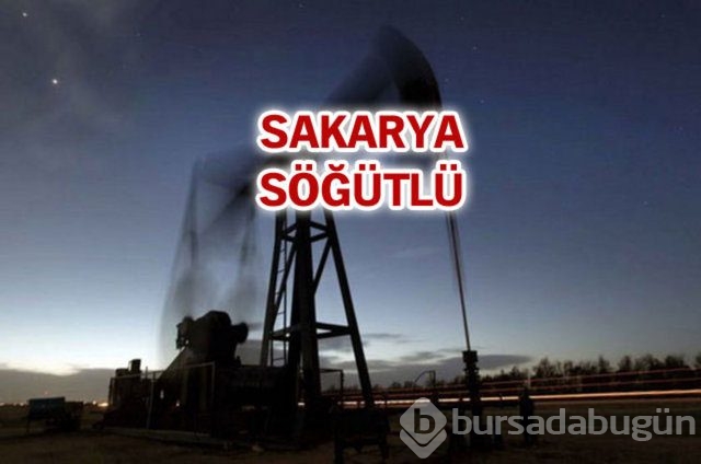 Sakarya'nın 3 ilçesinde doğalgaz bulundu

