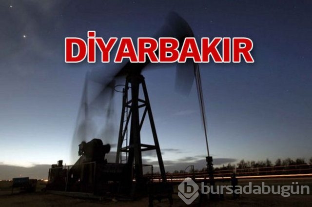 Sakarya'nın 3 ilçesinde doğalgaz bulundu


