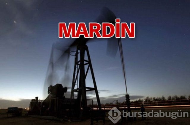Sakarya'nın 3 ilçesinde doğalgaz bulundu

