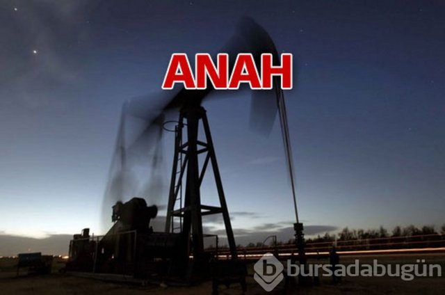 Sakarya'nın 3 ilçesinde doğalgaz bulundu

