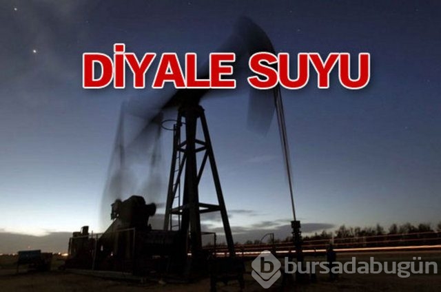 Sakarya'nın 3 ilçesinde doğalgaz bulundu

