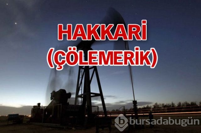 Sakarya'nın 3 ilçesinde doğalgaz bulundu

