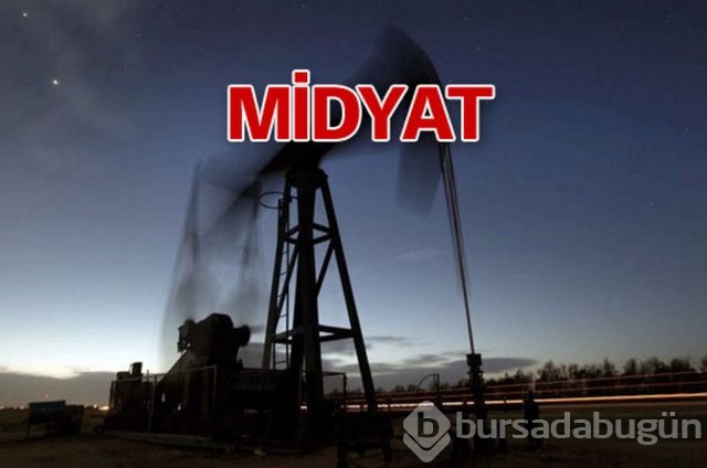 Sakarya'nın 3 ilçesinde doğalgaz bulundu

