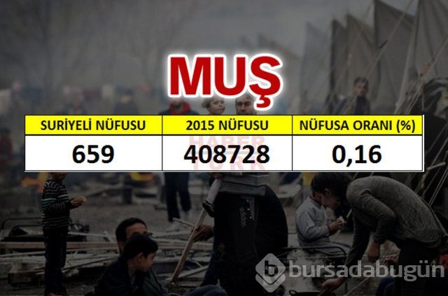 Hangi şehirde kaç Suriyeli var?
