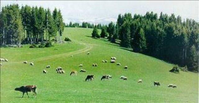 Şehirler isimlerini nereden alıyor?
